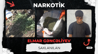 Qarğıdalı sahəsində narkotik əkdi - VİDEO