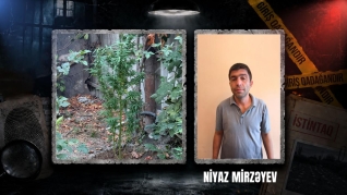 Göyçayda ƏMƏLİYYAT keçirildi: Saxlanılan var - VİDEO