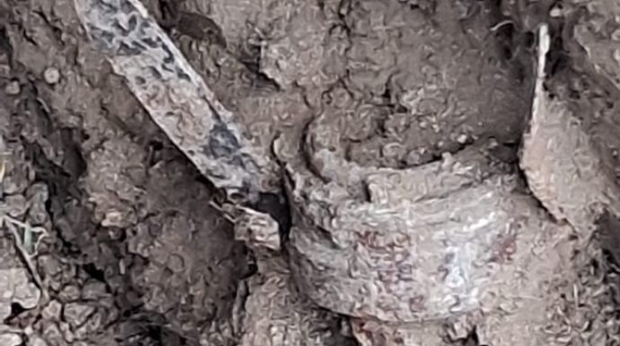 Ağdamda kənd qəbiristanlığında hərbi sursat aşkarlandı - FOTO 