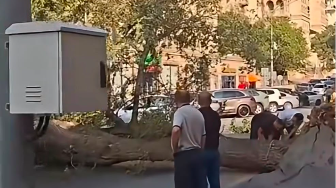 Səbail rayonunda ağac aşaraq yolu bağlayıb - VİDEO